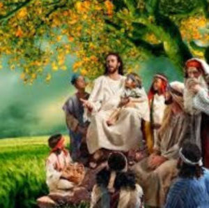 Meet your Posher, Alby